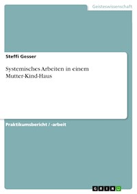Systemisches Arbeiten in einem Mutter-Kind-Haus - Steffi Gesser - E-Book
