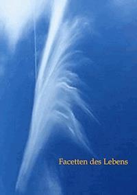 Facetten des Lebens - Eva Karina Schittenhelm - E-Book