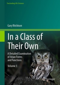 In a Class of Their Own - Gary Ritchison - E-Book