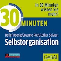30 Minuten Selbstorganisation - Detlef König - Hörbuch