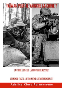 Taïwan peut-il vaincre la Chine ? La Chine est-elle la prochaine Russie ? Le monde face à la Troisième Guerre mondiale ? - Adeline Klara Palmerstone - E-Book