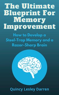 The Ultimate Blueprint For Memory Improvement - Quincy Lesley Darren - E-Book
