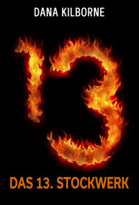 Das 13. Stockwerk - DANA KILBORNE - kostenlos E-Book
