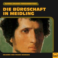 Die Bürgschaft in Meidling - Alfred Eduard Forschneritsch - Hörbuch