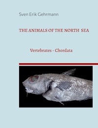 The Animals Of The North Sea 1 - Sven Erik Gehrmann - E-Book