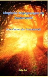 Magische Begegnungen im Zauberwald - Ulrike Solo - E-Book