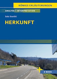 Herkunft von Saša Stanišić - Textanalyse und Interpretation - Saša Stanišić - E-Book