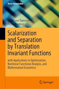 Scalarization and Separation by Translation Invariant Functions - Christiane Tammer - E-Book