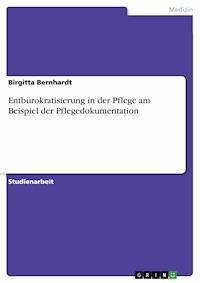 Entbürokratisierung in der Pflege am Beispiel der Pflegedokumentation - Birgitta Bernhardt - E-Book