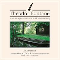 Wanderungen durch die Mark Brandenburg (10) - Theodor Fontane - Hörbuch