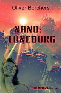 Nano: Lüneburg - Oliver Borchers - E-Book