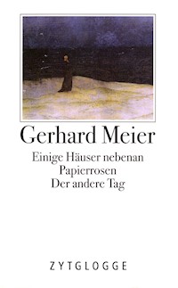 Werke Band 1: Gedichte und Prosaskizzen - Gerhard Meier - E-Book