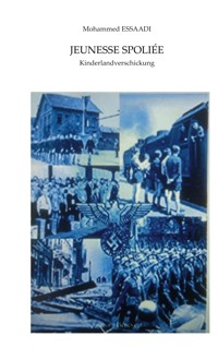Jeunesse Spoliée - Mohammed Essaadi - E-Book