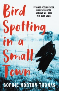 Bird Spotting in a Small Town - Sophie Morton-Thomas - E-Book