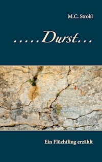 Durst - M.C. Strobl - E-Book