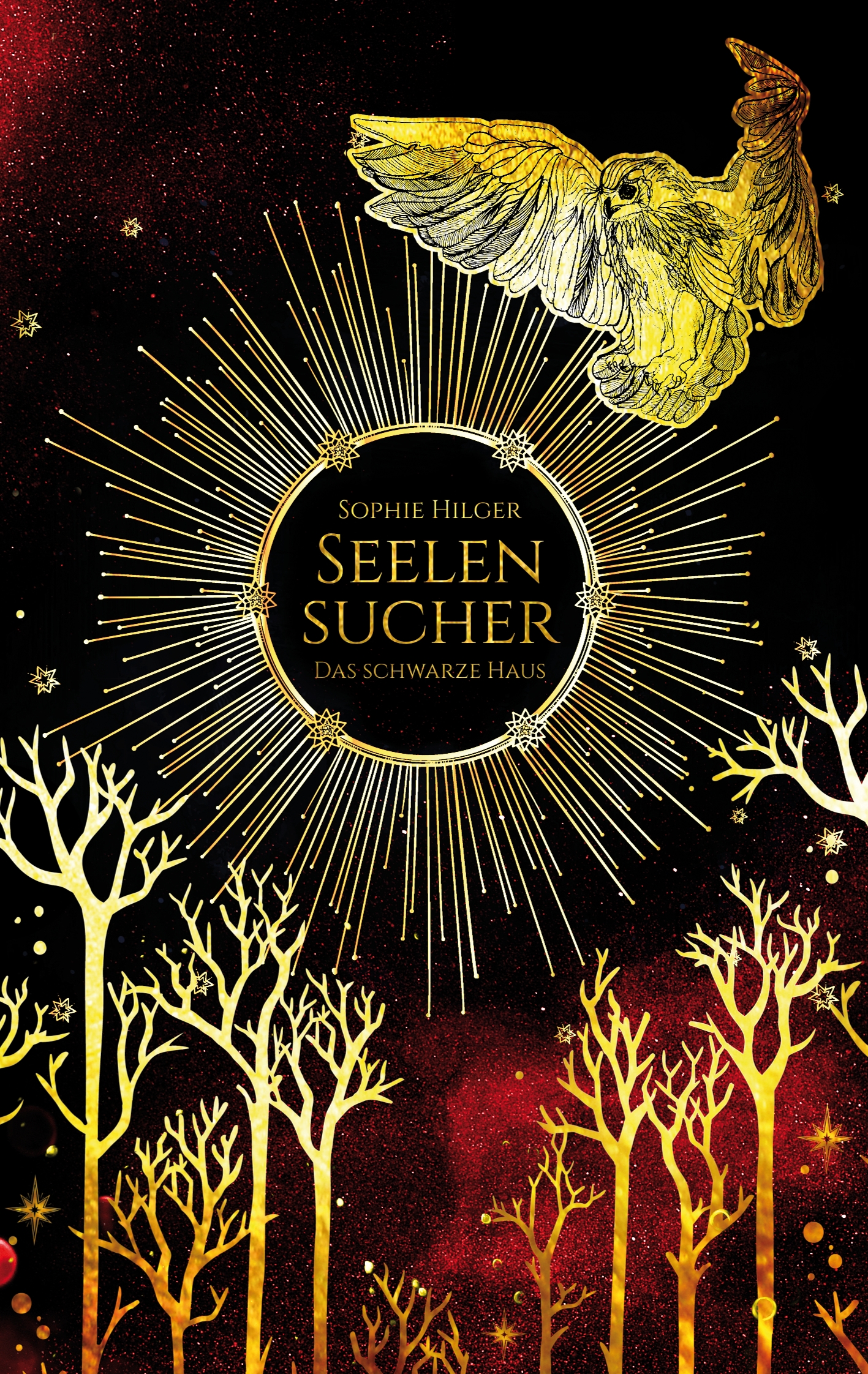 Seelensucher - Sophie Hilger - E-Book