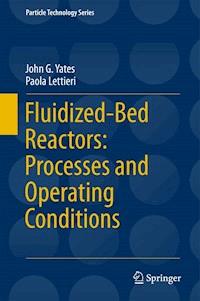 Fluidized-Bed Reactors: Processes and Operating Conditions - John G. Yates - E-Book