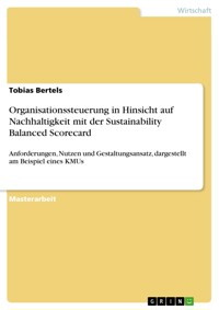 Organisationssteuerung in Hinsicht auf Nachhaltigkeit mit der Sustainability Balanced Scorecard - Tobias Bertels - E-Book