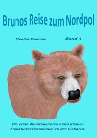 Brunos Reise zum Nordpol - Monika Bonanno - E-Book