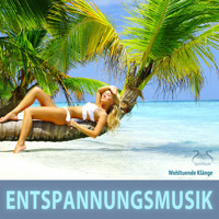 Entspannungsmusik - Wohltuende Klänge - 25 Titel zum Entspannen, zur Erholung, zur Meditation, Autogenem Training, Progressiver Muskelentspannung, Yoga. - Torsten Abrolat - Hörbuch