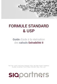 Sia Partners Formule Standard & USP - Julien Sac - E-Book