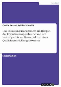 Das Entlassungsmanagement am Beispiel der Erwachsenenpsychiatrie. Von der Ist-Analyse bis zur Konzeptskizze eines Qualitätsentwicklungsprozesses - Cedric Butze - E-Book