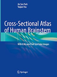 Cross-Sectional Atlas of Human Brainstem - Jin Seo Park - E-Book