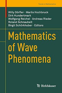 Mathematics of Wave Phenomena -  - E-Book