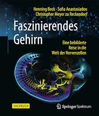 Faszinierendes Gehirn - Henning Beck - E-Book