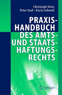 Praxishandbuch des Amts- und Staatshaftungsrechts - Christoph Stein - E-Book