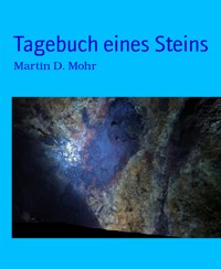 Tagebuch eines Steins - Martin D. Mohr - E-Book