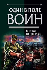 Один в поле воин - Михаил Нестеров - E-Book
