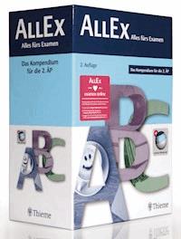 AllEx - Alles fürs Examen - Harald Genzwürker - E-Book