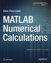 MATLAB Numerical Calculations - Cesar Lopez - E-Book