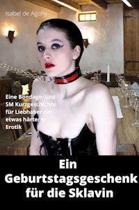 Ein Geburtstagsgeschenk für die Sklavin - Isabel de Agony - E-Book