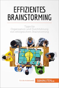 Effizientes Brainstorming - Nicolas Zinque - E-Book