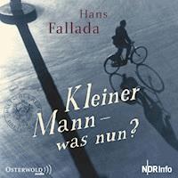 Kleiner Mann - was nun? - Hans Fallada - Hörbuch