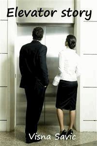 Elevator story - Visna Savic - E-Book