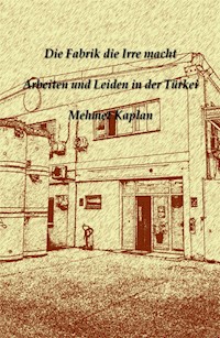 Die Fabrik die Irre macht - Mehmet Kaplan - E-Book