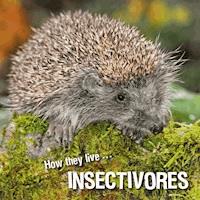How they live... Insectivores - Ivan Esenko - E-Book