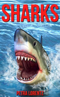 Sharks - Petra Lorentz - E-Book