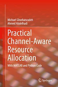 Practical Channel-Aware Resource Allocation - Michael Ghorbanzadeh - E-Book