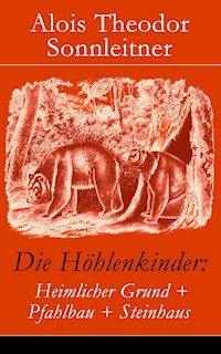 Die Höhlenkinder: Heimlicher Grund + Pfahlbau + Steinhaus - Alois Theodor Sonnleitner - E-Book