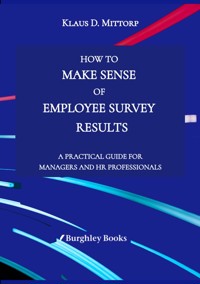How to Make Sense of Employee Survey Results - Klaus D. Mittorp - E-Book
