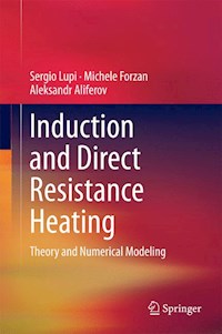 Induction and Direct Resistance Heating - Sergio Lupi - E-Book
