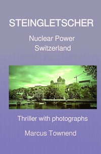 STEINGLETSCHER - Marcus Brian Vladimir Townend - E-Book