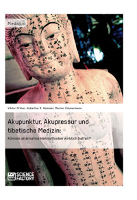 Akupunktur, Akupressur und tibetische Medizin - Viktor Ortner - E-Book