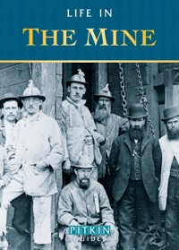 Life in the Mine - Anthony Burton - E-Book