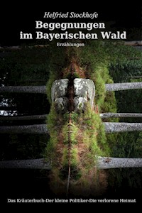Begegnungen im Bayerischen Wald - Helfried Stockhofe - E-Book