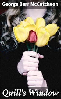 Quill's Window - George Barr Mccutcheon - E-Book